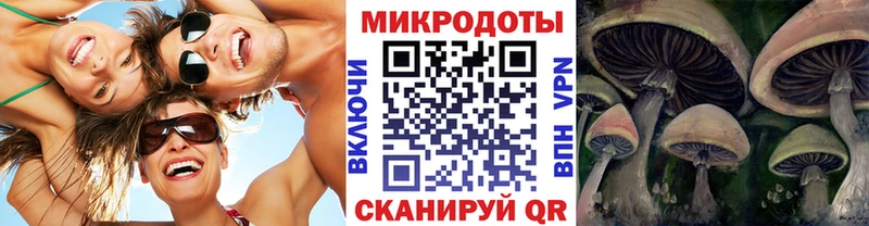 маркетплейс официальный сайт  закладки  Алатырь  Галлюциногенные грибы Magic Shrooms 
