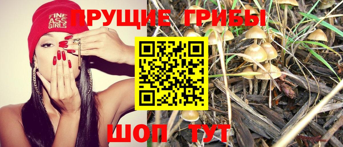 Псилоцибиновые грибы ЛСД Алатырь