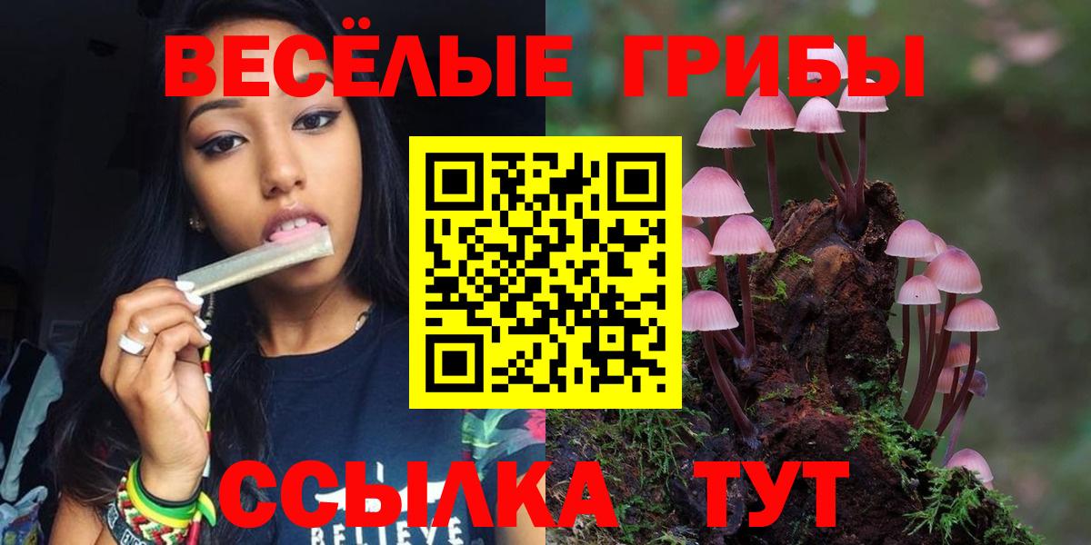 даркнет сайт  Вход с VPN  Алатырь  Галлюциногенные грибы Psilocybe 